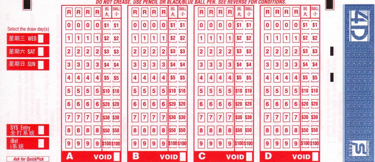 4D Slip