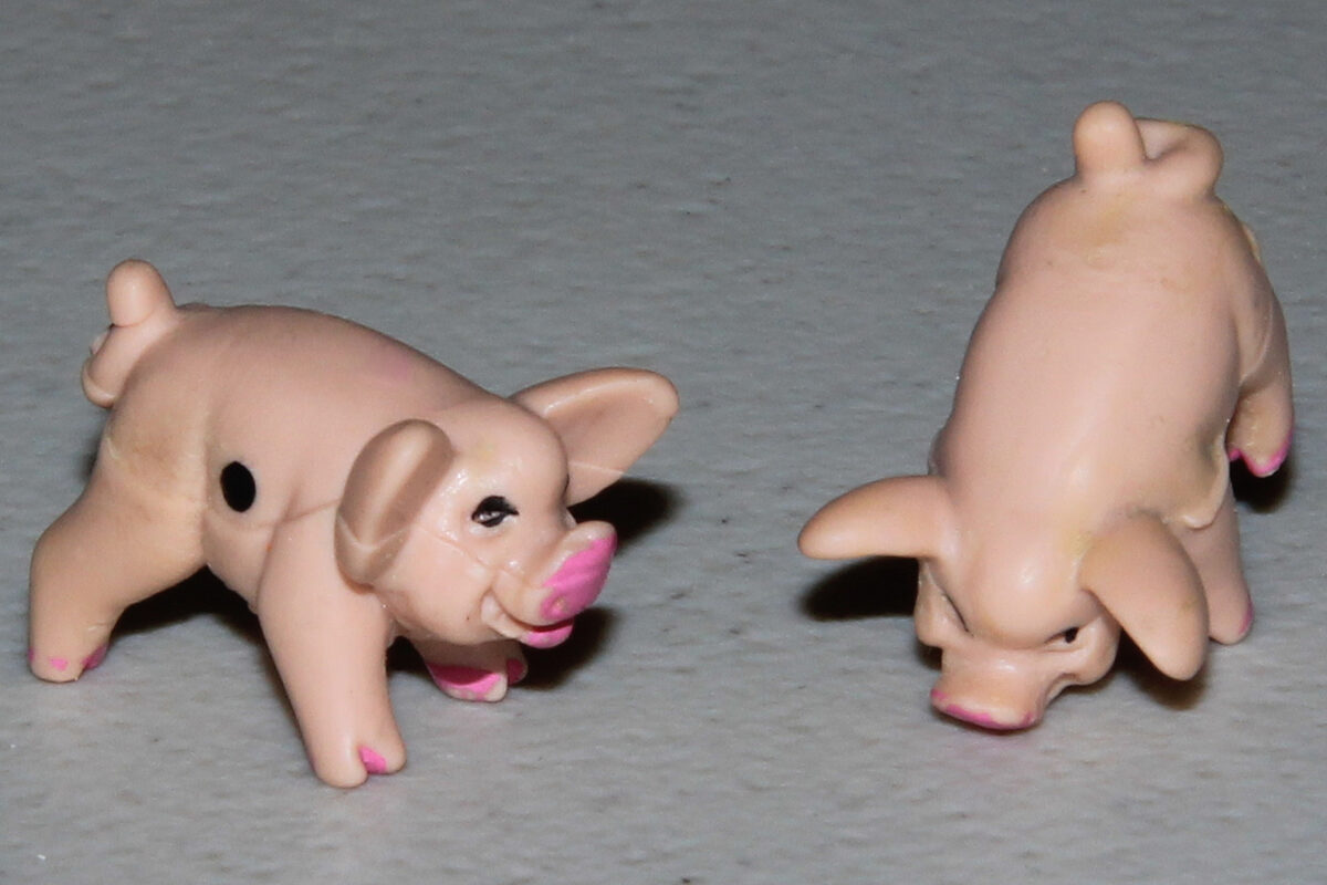 Pass the pigs dice